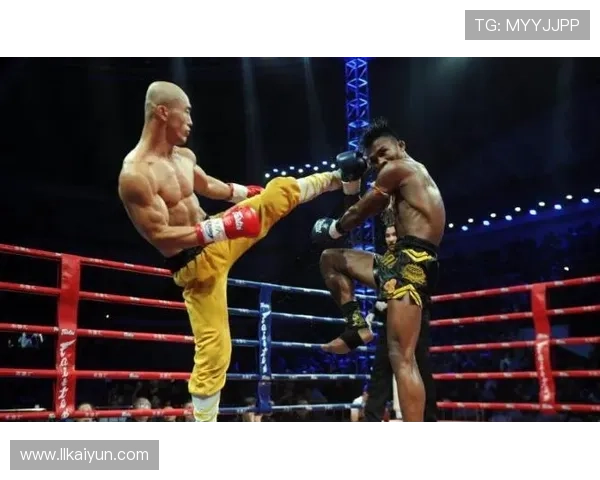 一龙17年比赛：搏击界传奇的巅峰对决与荣耀之路